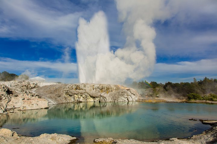 Auckland to Rotorua Private Tour - Image 1