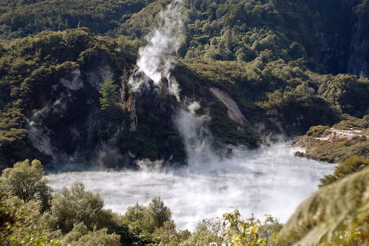 Auckland to Rotorua Private Tour - Image 4