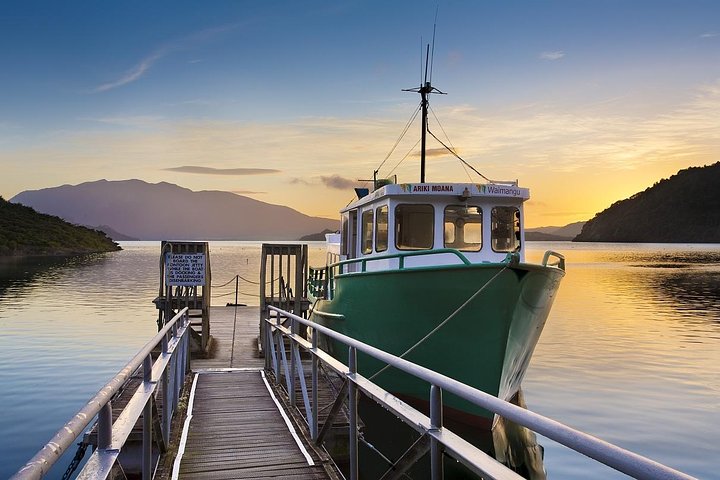 Auckland to Rotorua Private Tour - Image 2