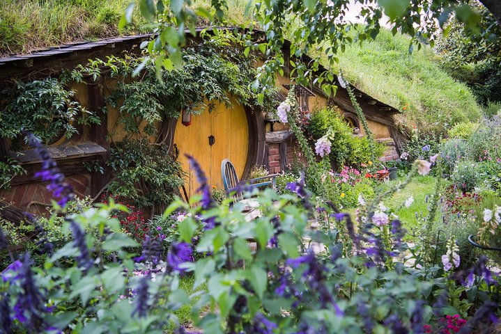 Auckland to Rotorua via Hobbiton Small Group Tour (One Way) - Image 5