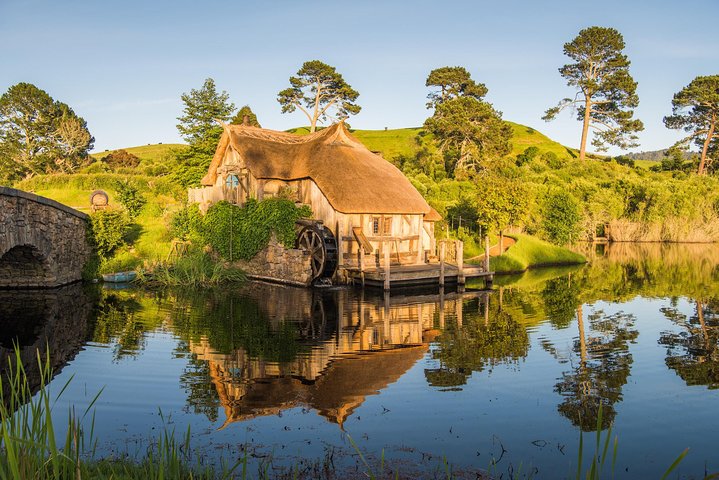 Auckland to Rotorua via Hobbiton Small Group Tour (One Way) - Image 4