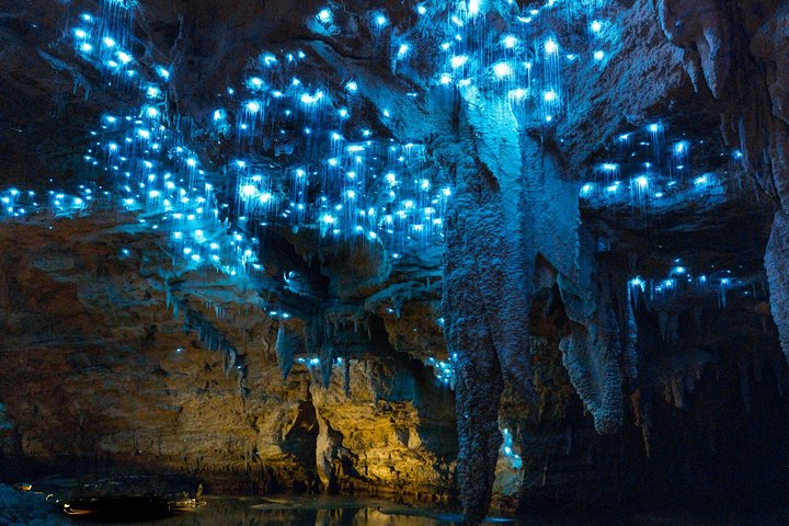 Auckland to Rotorua via Waitomo Caves and Hobbiton Movie Set One-Way Private - Image 2