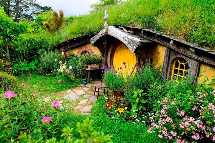 Auckland to Rotorua via Waitomo Caves and Hobbiton Movie Set One-Way Private - Image 5