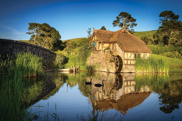 Auckland to Rotorua via Waitomo Caves and Hobbiton Movie Set One-Way Private - Image 3