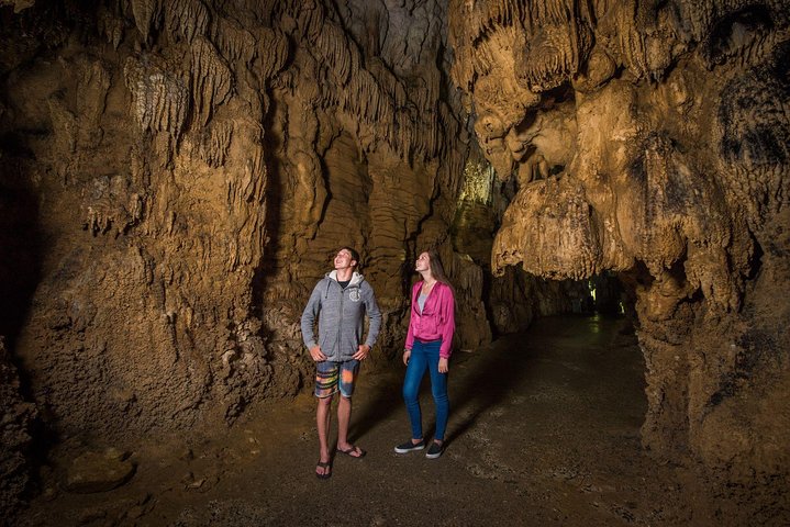 Auckland to Rotorua via Waitomo Caves Small Group Tour (One Way) - Image 2
