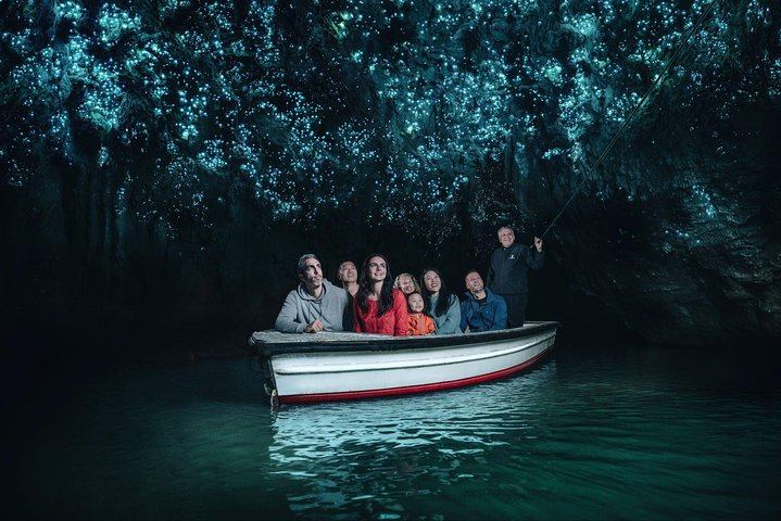 Auckland to Rotorua via Waitomo Caves Small Group Tour (One Way) - Image 1