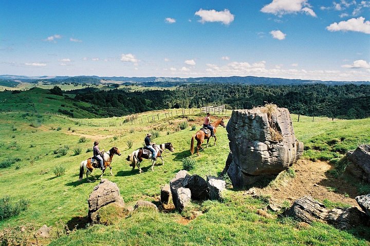Auckland to Waitomo Caves Private Tour - Image 5