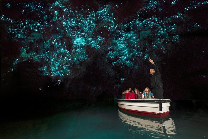 Auckland to Waitomo Caves Private Tour - Image 2