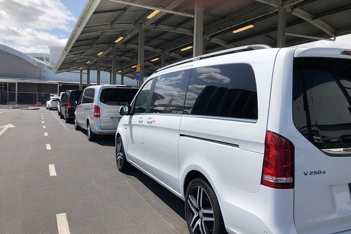 Auckland tours and transfers by hourly Booking - Image 5