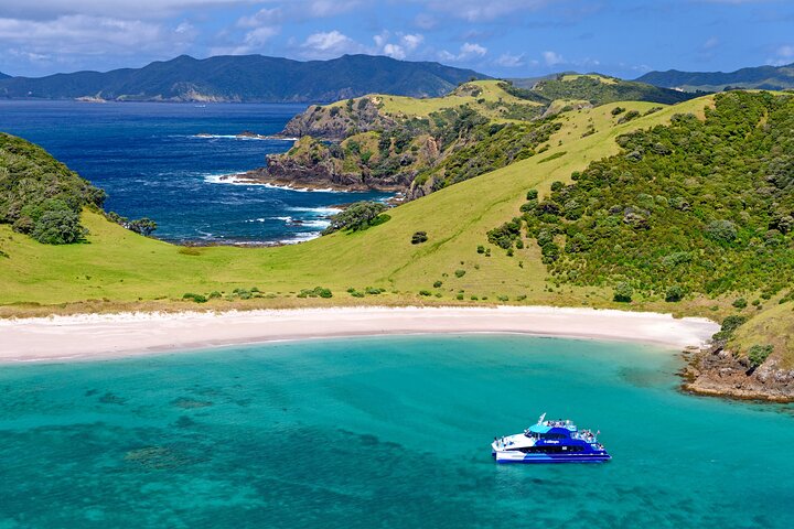 Bay of Islands Discovery Experience from Auckland incl. Hole In The Rock Cruise - Image 5