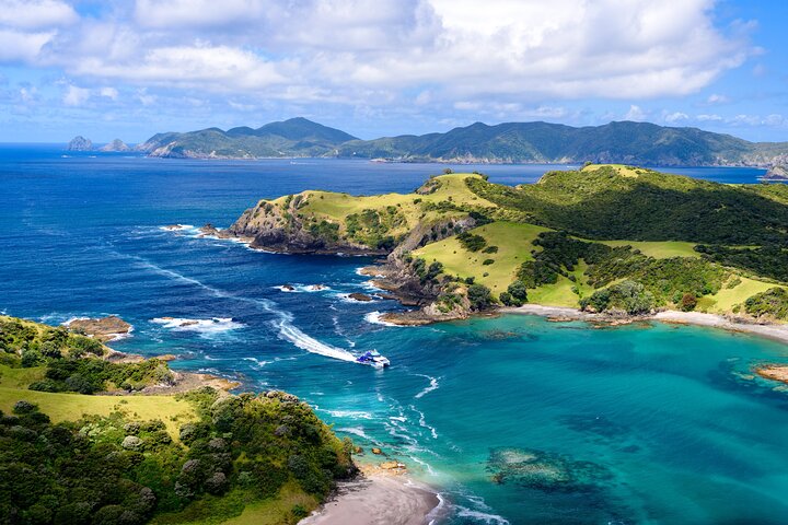 Bay of Islands Discovery Experience from Auckland incl. Hole In The Rock Cruise - Image 1