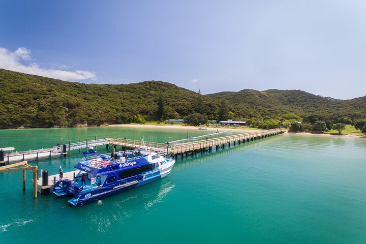 Bay of Islands Discovery Experience from Auckland incl. Hole In The Rock Cruise - Image 2