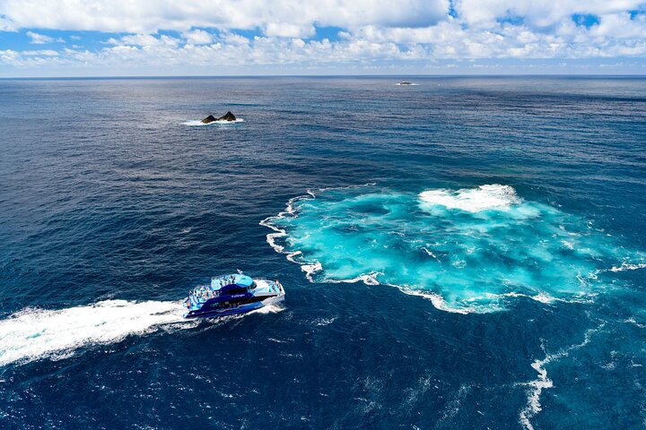 Bay of Islands Discovery Experience from Auckland incl. Hole In The Rock Cruise - Image 4