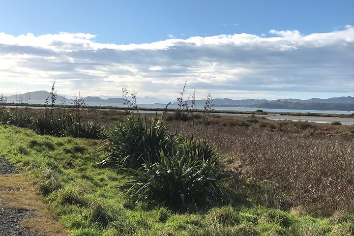 Beautiful Pohutukawa Coast - Half Day Private Tour - Image 5
