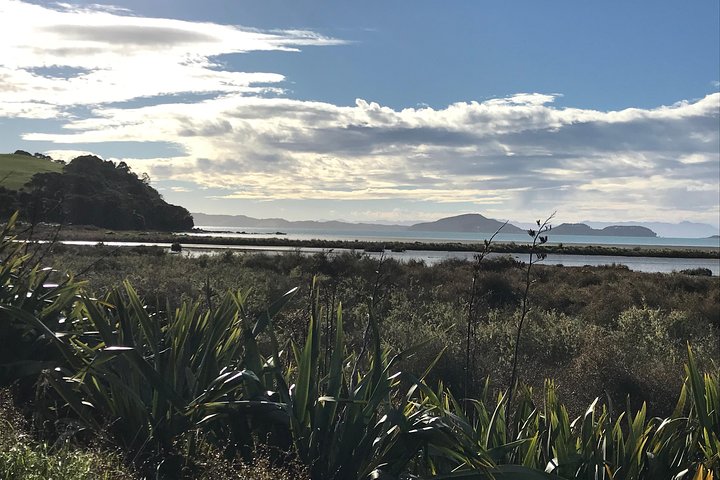 Beautiful Pohutukawa Coast - Half Day Private Tour - Image 1