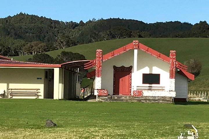Beautiful Pohutukawa Coast - Half Day Private Tour - Image 2