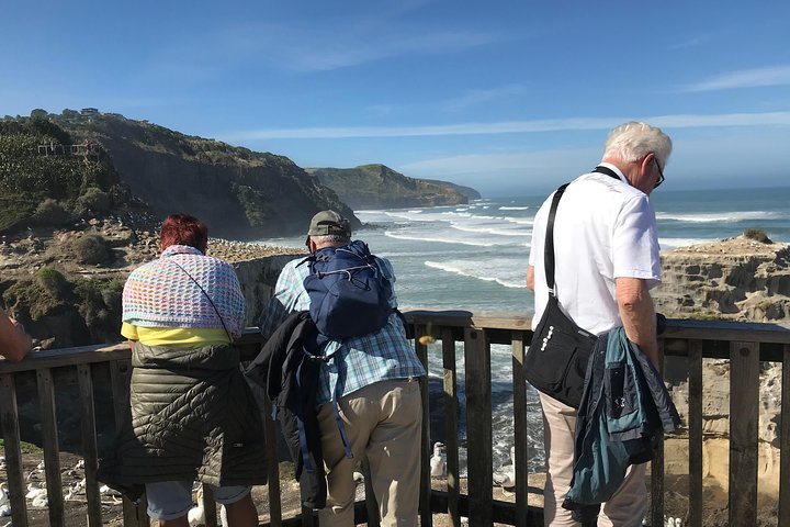 Breathtaking west coast, rainforest, beach and boobies - German private tour - Image 2
