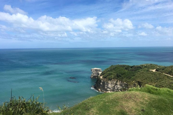 Breathtaking west coast, rainforest, beach and boobies - German private tour - Image 4