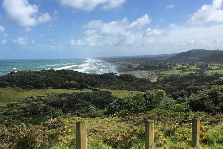 “City to Surf” - private tour with German tour guide - Image 1