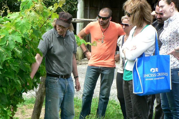 Coast to Coast Auckland Wine Tasting Day Tour - Image 2