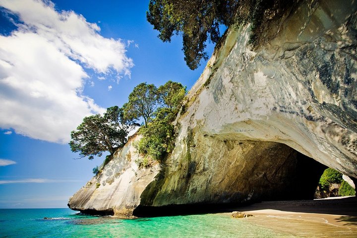 Coromandel Peninsula Discovery - Private Tour From Auckland - Image 2