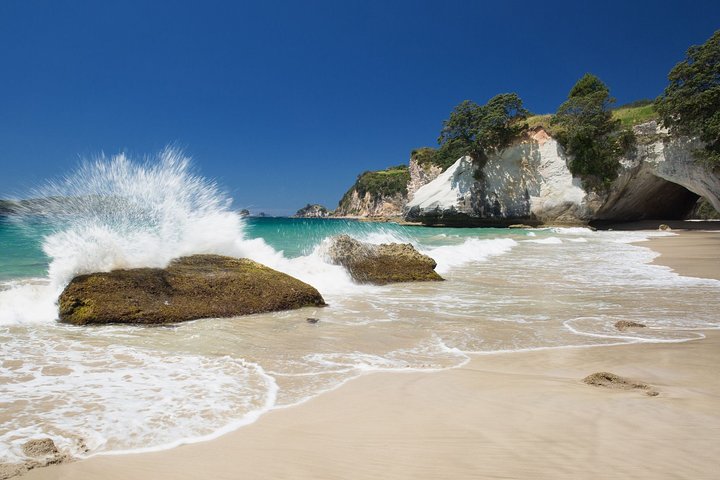 Coromandel Peninsula Discovery - Private Tour From Auckland - Image 3