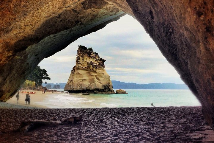 Coromandel Peninsula Discovery - Private Tour From Auckland - Image 5