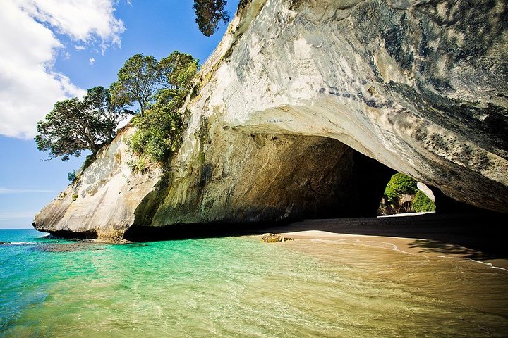 Coromandel Peninsula Highlights Small Group Tour from Auckland  - Image 1
