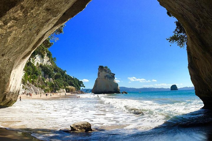 Coromandel Peninsula Highlights Small Group Tour from Auckland  - Image 4