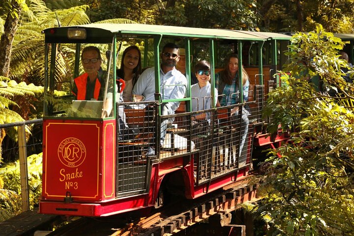 Coromandel Private Day Tour - Image 3