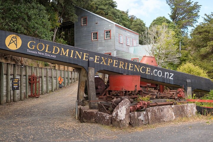 Coromandel Private Day Tour - Image 4