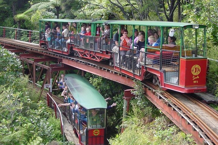 Coromandel Private Day Tour - Image 2