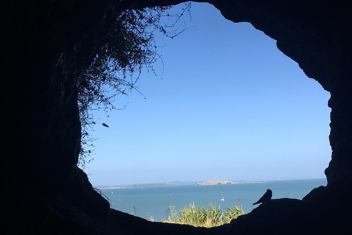 Devonport Volcanoes Afternoon Tour from Auckland - Image 3