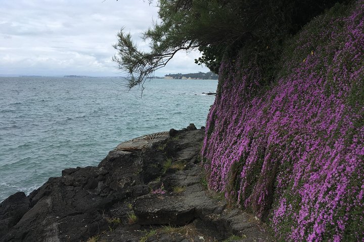 Devonport Volcanoes Afternoon Tour from Auckland - Image 5