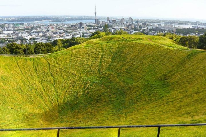 Discover Auckland City (Day Tour) - Image 2