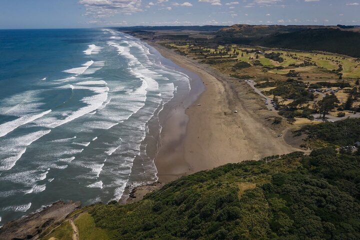 Explore West Auckland with Winery - Image 2