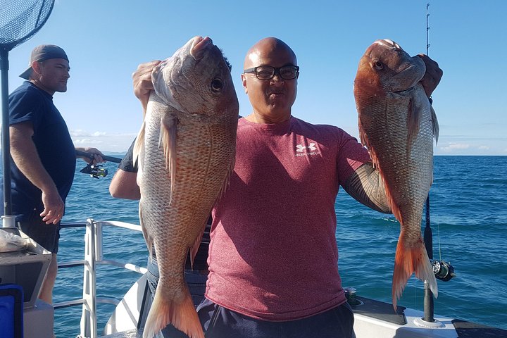 Fishing charter - Hauraki Gulf - Image 4