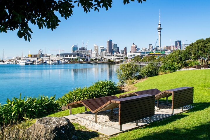 Full Day Private Shore Tour in Auckland from Auckland Cruise Port - Image 1
