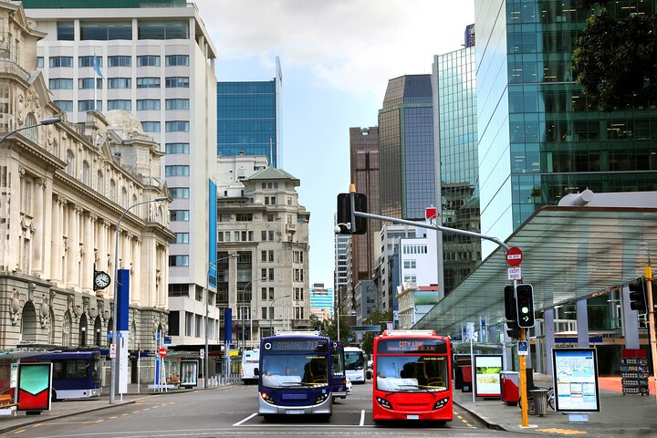 Full Day Private Shore Tour in Auckland from Auckland Cruise Port - Image 5