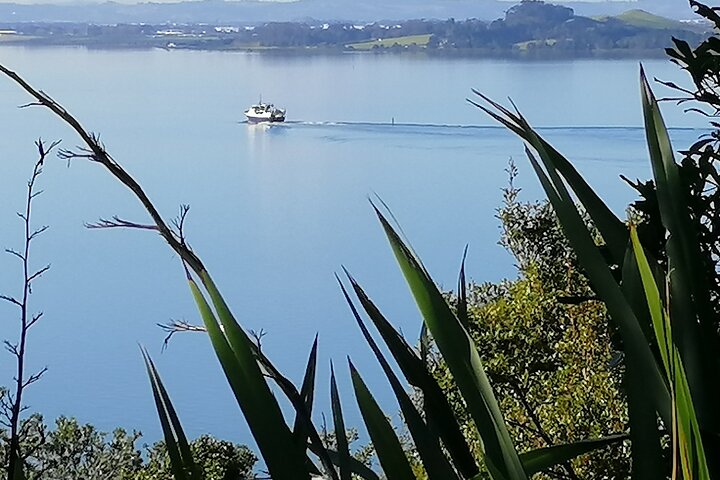 Full Day Tour in Waitomo Glowworm Caves and Te Puia - Image 1