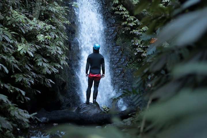 Glowworm Canyoning Adventure - Private Tour From Auckland - Image 4