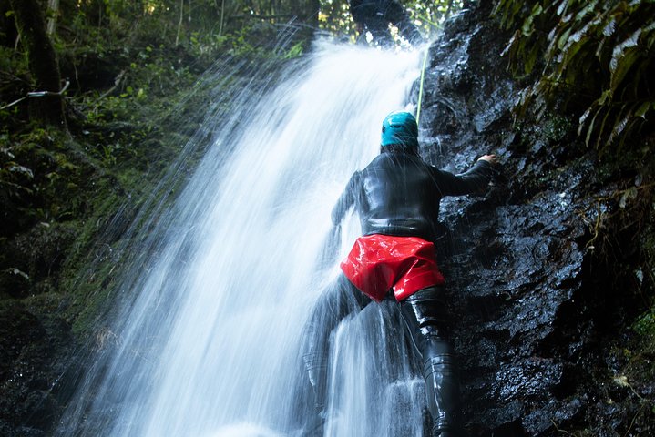 Glowworm Canyoning Adventure - Private Tour From Auckland - Image 5