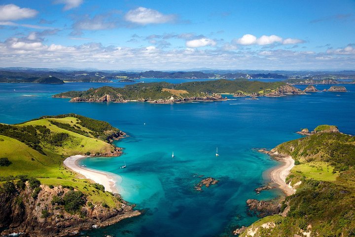 Group tour to Bay of Islands return from Auckland - Image 5