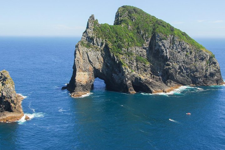 Group tour to Bay of Islands return from Auckland - Image 3