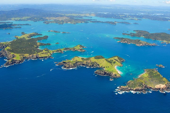 Group tour to Bay of Islands return from Auckland - Image 2