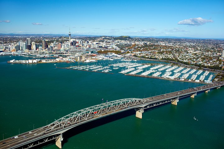 Half-Day Auckland City Guided Tour - Image 3