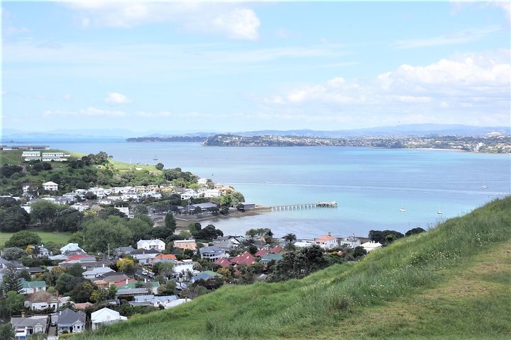 Half-Day: Small Group Auckland Scenic Tour - 4 HOURS - Image 5