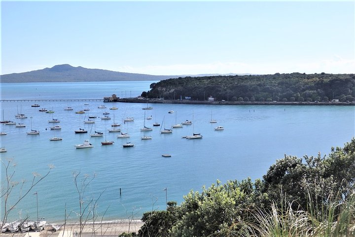 Half-Day: Small Group Auckland Scenic Tour - 4 HOURS - Image 4