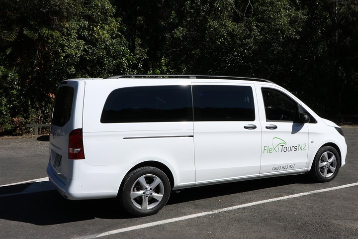 Hobbiton Afternoon Tour in Luxury Minibus from Auckland to Auckland - Image 4