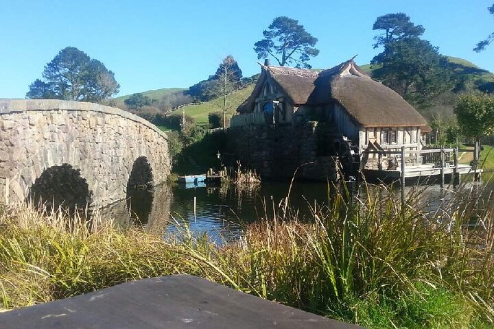 Hobbiton and Spellbound Tour (Glowworm Cave at Waitomo)  - Image 4